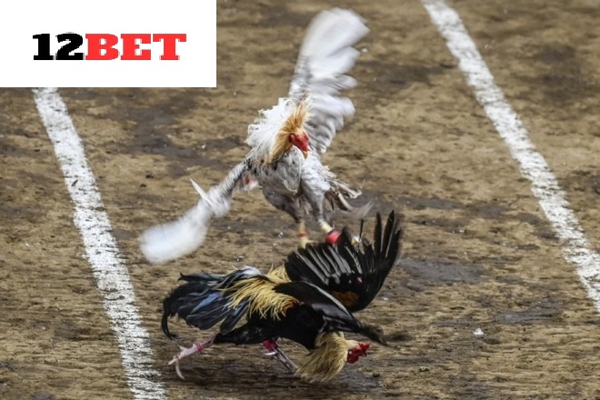 Những bí kíp mà cao thủ áp dụng